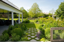 Plantings between pavers